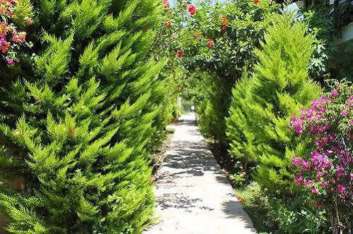 Apart Otel Vira Apart Hotel Göcek