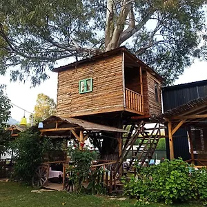 Daidala Life Oda ve Kahvaltı